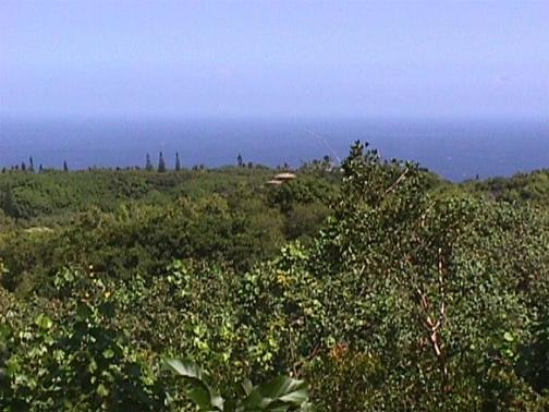 Road to Hana