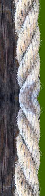 Enlarged Image
